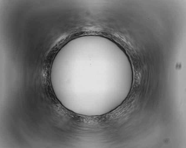 X0000103481254200810031535