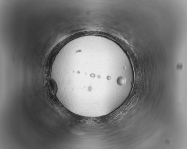 X0000103481255200810031535