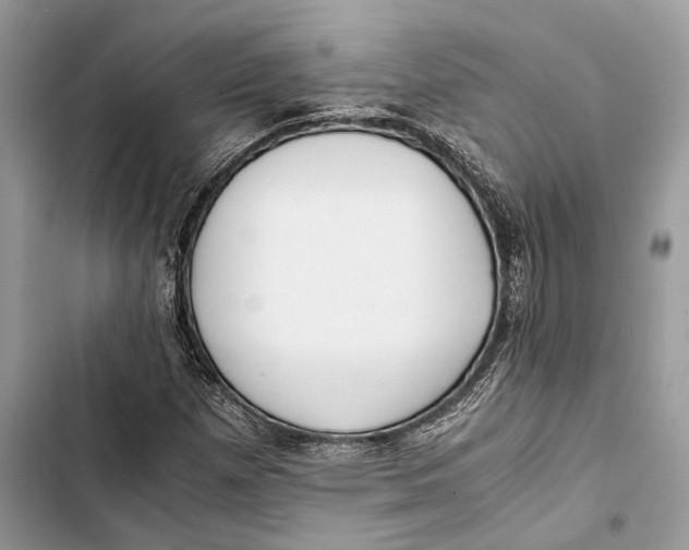 X0000103481257200810031535