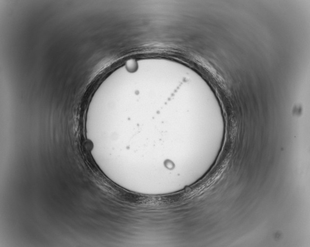 X0000103481259200810031535