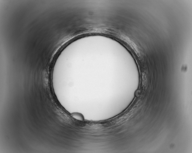 X0000103481260200810031535