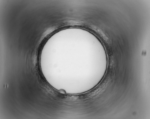 X0000103481261200810031535