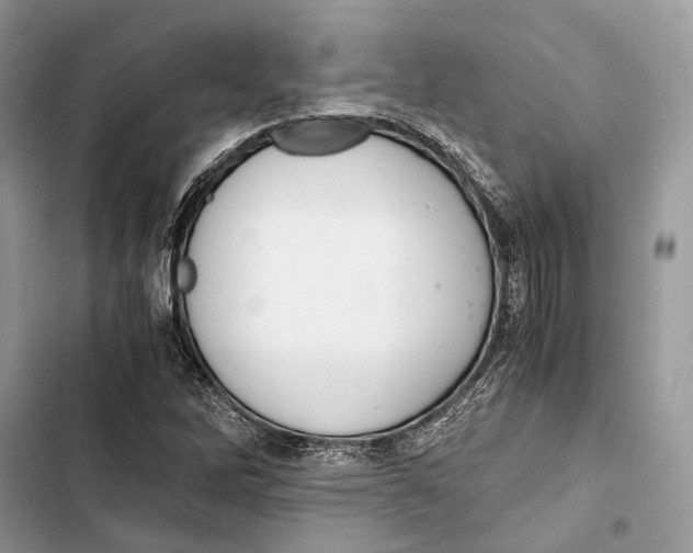 X0000103481262200810031535