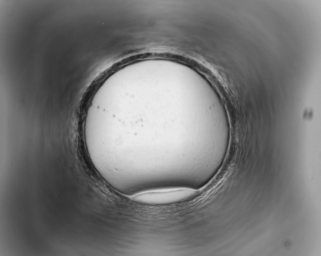 X0000103481263200810031535