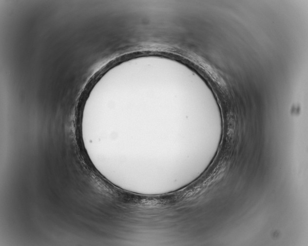 X0000103481264200810031535