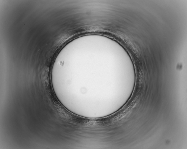 X0000103481265200810031535