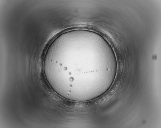 X0000103481267200810031535