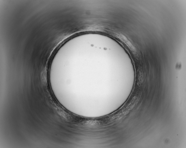 X0000103481268200810031535