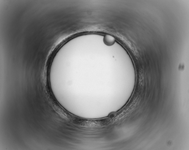 X0000103481270200810031535