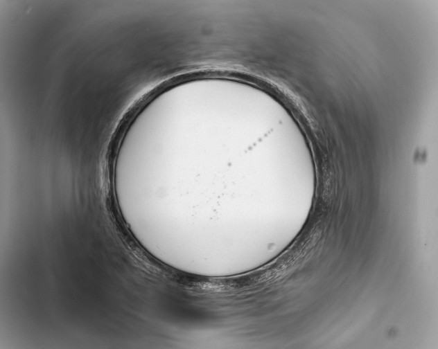 X0000103481271200810031535