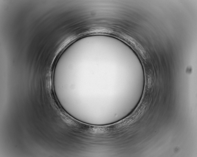 X0000103481274200810031534