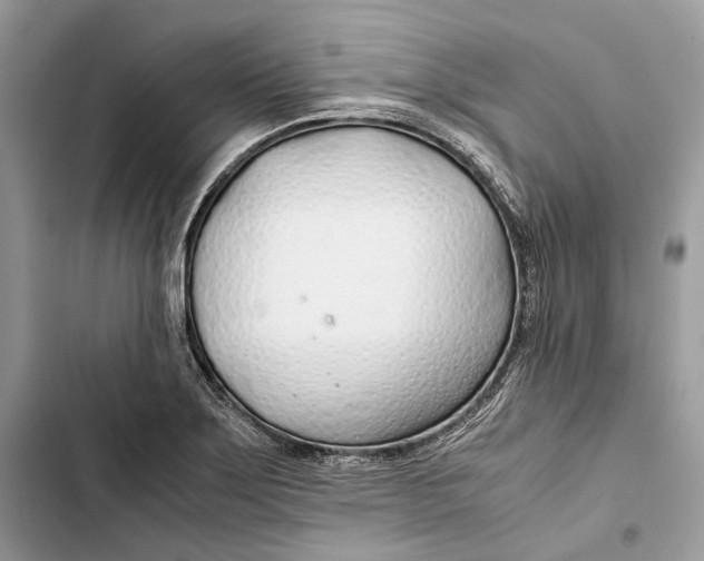 X0000103481275200810031534