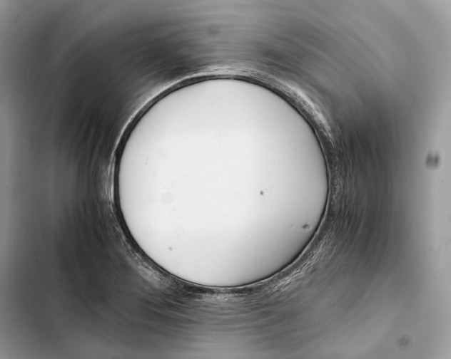 X0000103481276200810031534