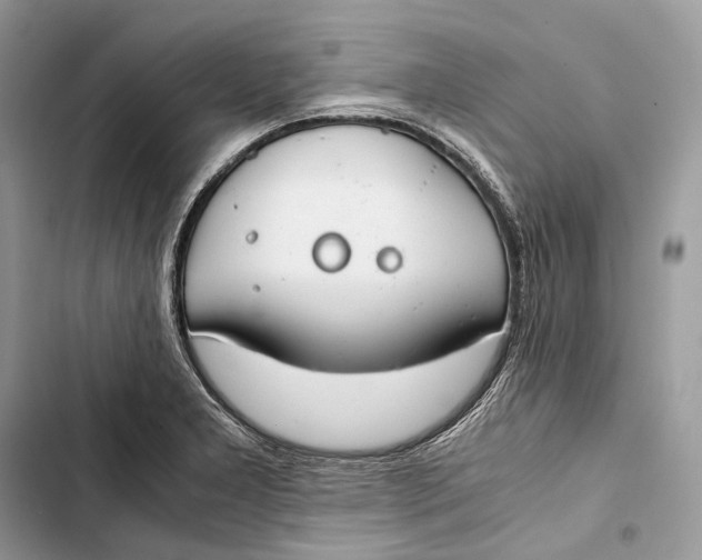 X0000103481277200810031534