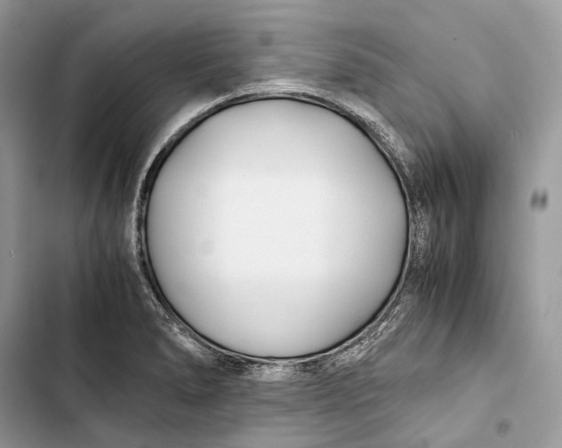 X0000103481278200810031534