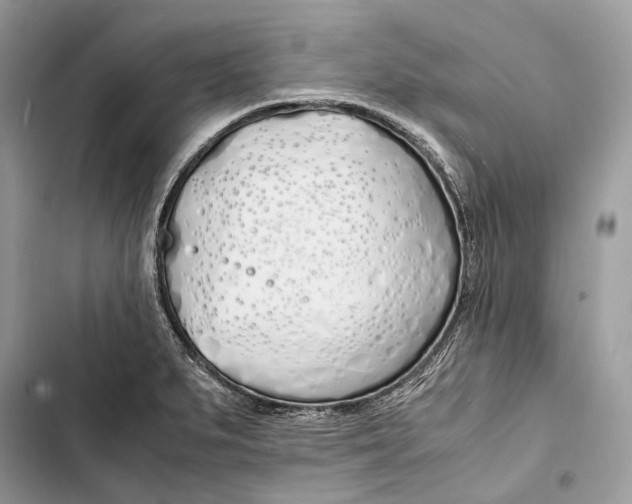 X0000103481279200810031534