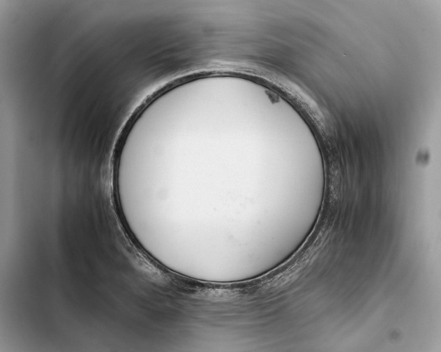 X0000103481280200810031534