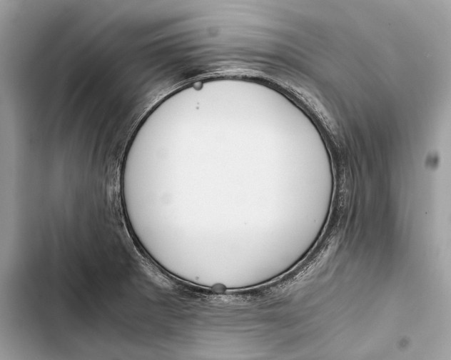 X0000103481281200810031534