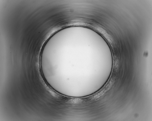 X0000103481282200810031534