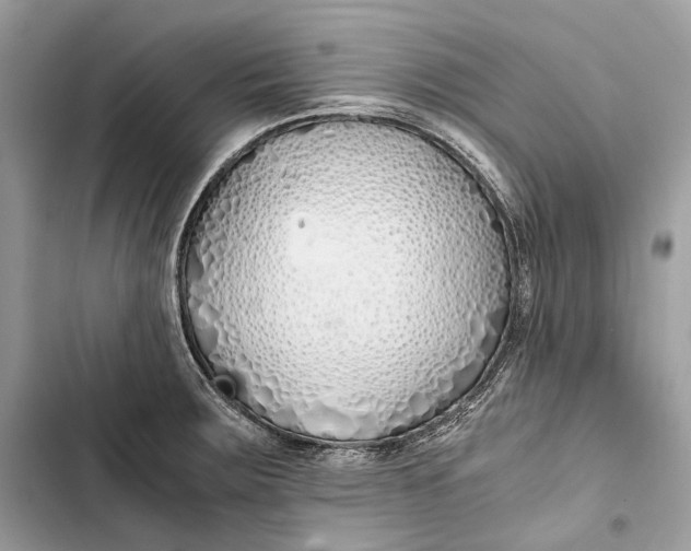 X0000103481283200810031534