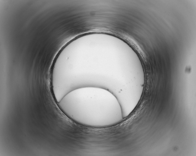 X0000103481284200810031534