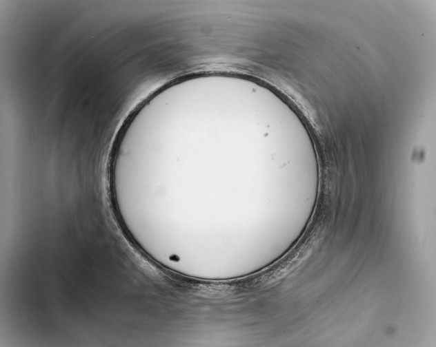 X0000103481285200810031534