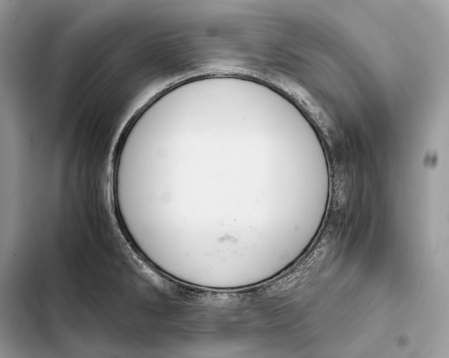 X0000103481286200810031534