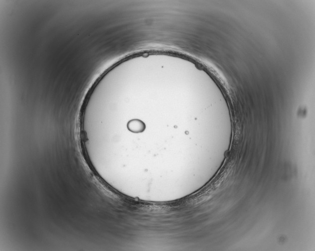 X0000103481287200810031534