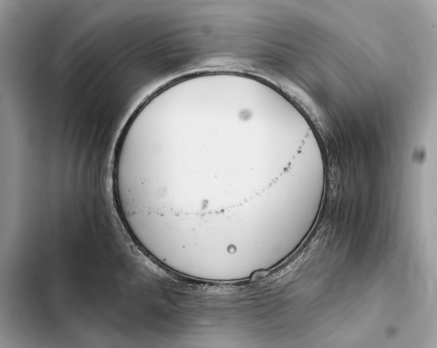 X0000103481288200810031534