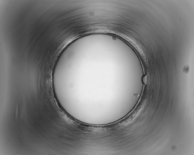 X0000103481289200810031534