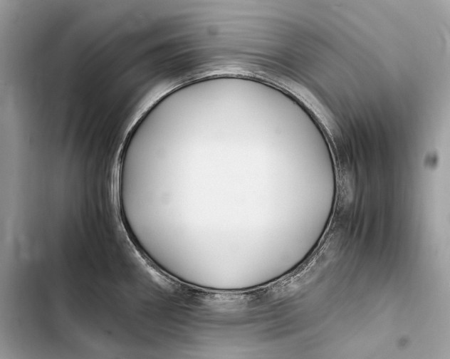 X0000103481290200810031534