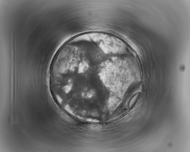 X0000103481291200810031534