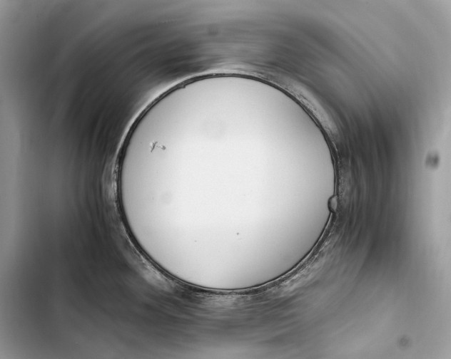 X0000103481292200810031534