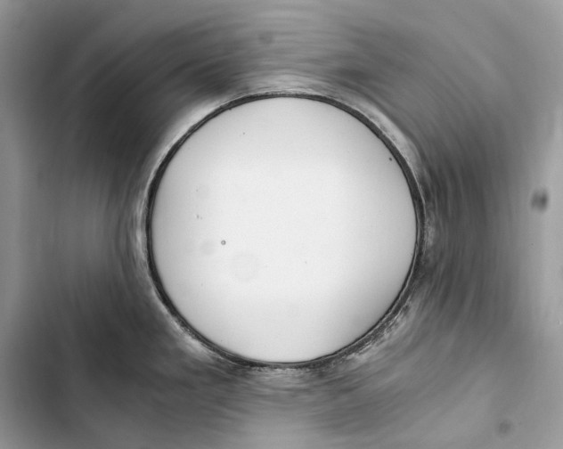 X0000103481293200810031534