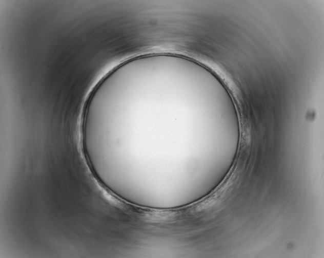 X0000103481294200810031534