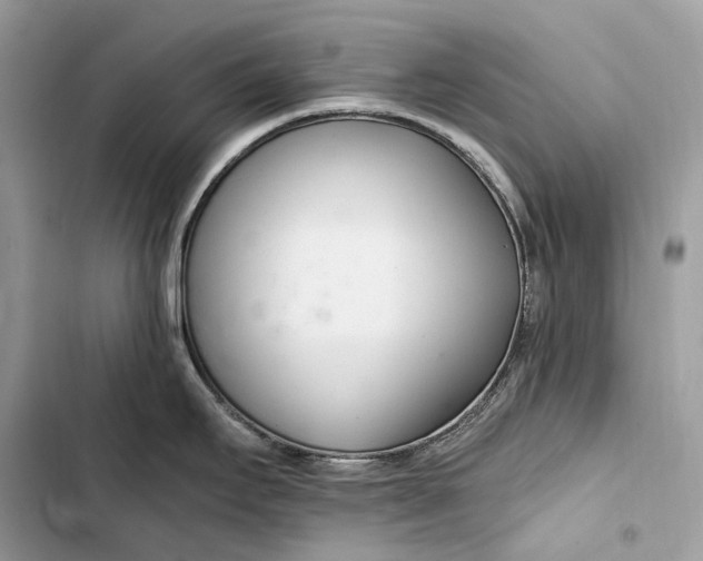 X0000103481295200810031534