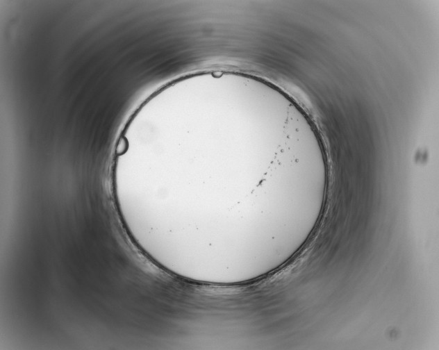 X0000103481296200810031534