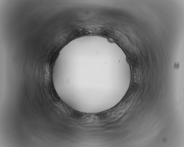 X0000103481298200810031534