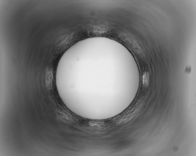 X0000103481299200810031534