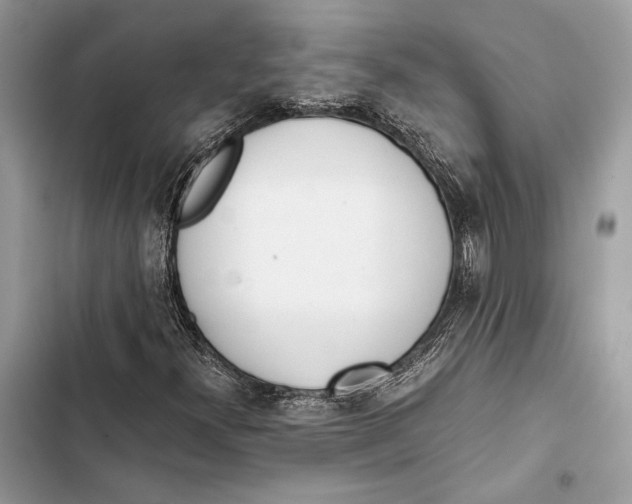 X0000103481300200810031534