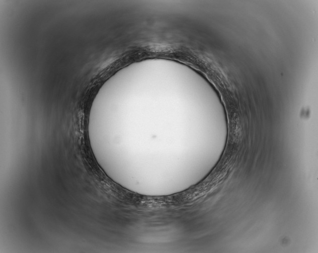 X0000103481301200810031534