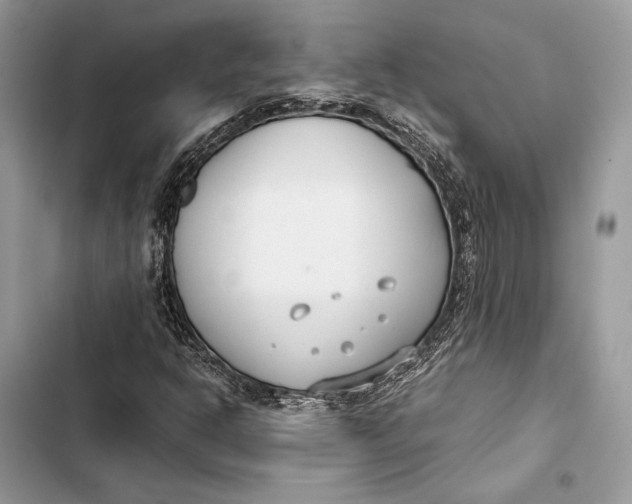 X0000103481302200810031534