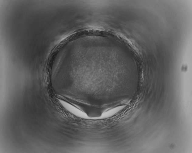 X0000103481303200810031534