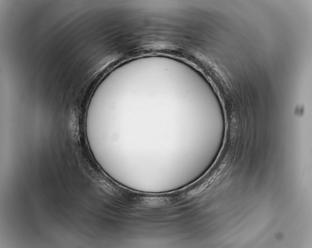 X0000103481305200810031534