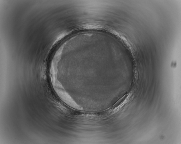 X0000103481306200810031534