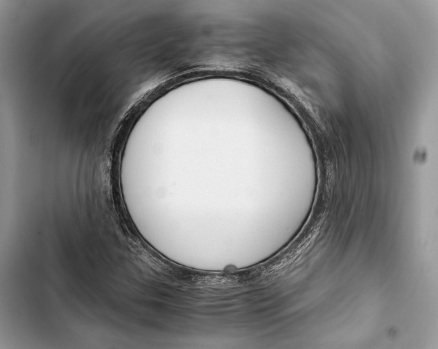 X0000103481307200810031534