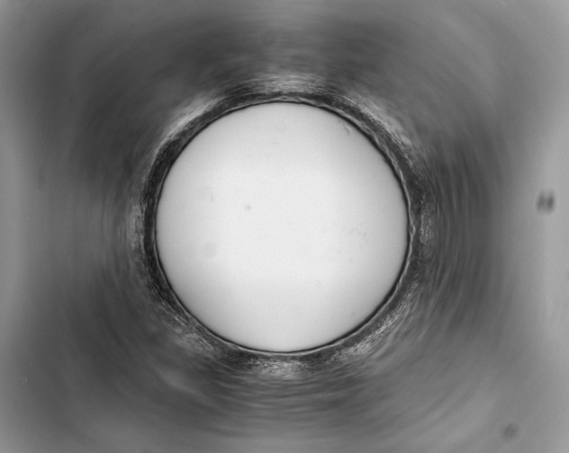 X0000103481309200810031534