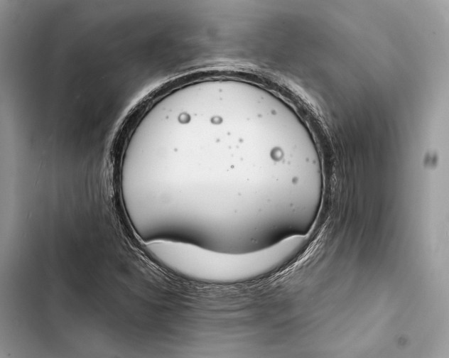 X0000103481310200810031534