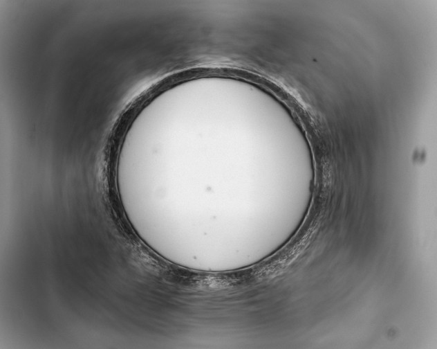 X0000103481311200810031534