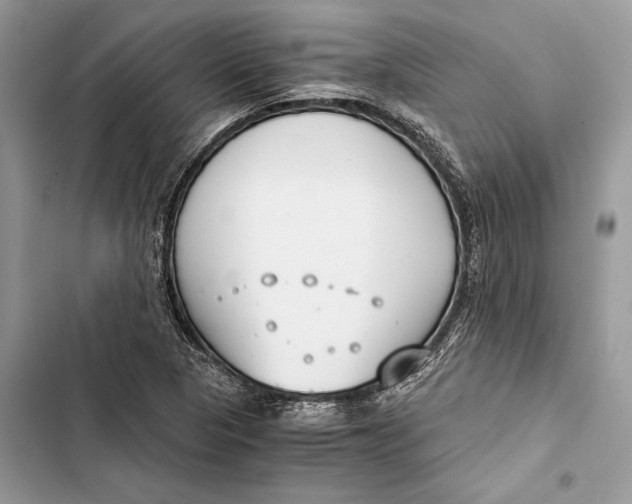 X0000103481313200810031534